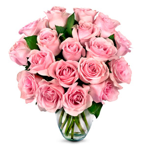 Dozen Pink Roses Sale 50% Off | Prestige Flowers