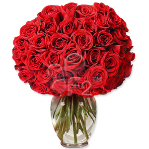 50 Red Roses Bouquet | Prestige Flowers